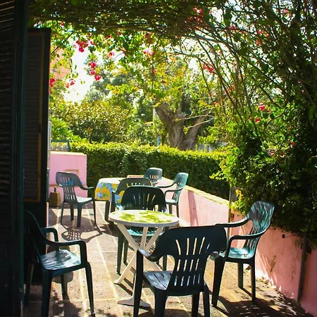 Holiday home Casa Lapinhas Lagoa (Azores)