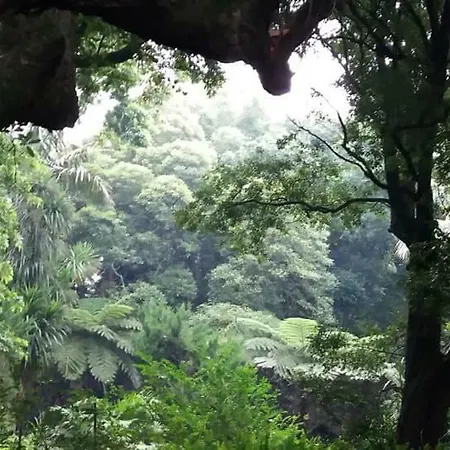 بيت للعطل Casa Lapinhas *