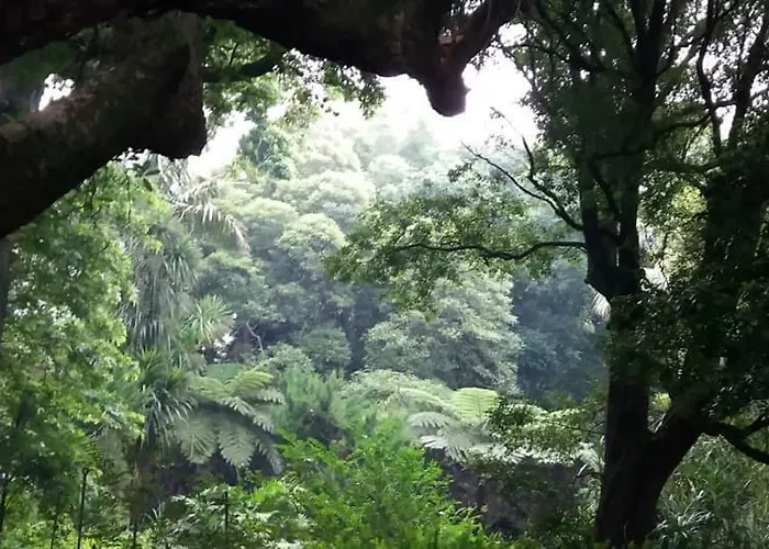 度假居 Casa Lapinhas *